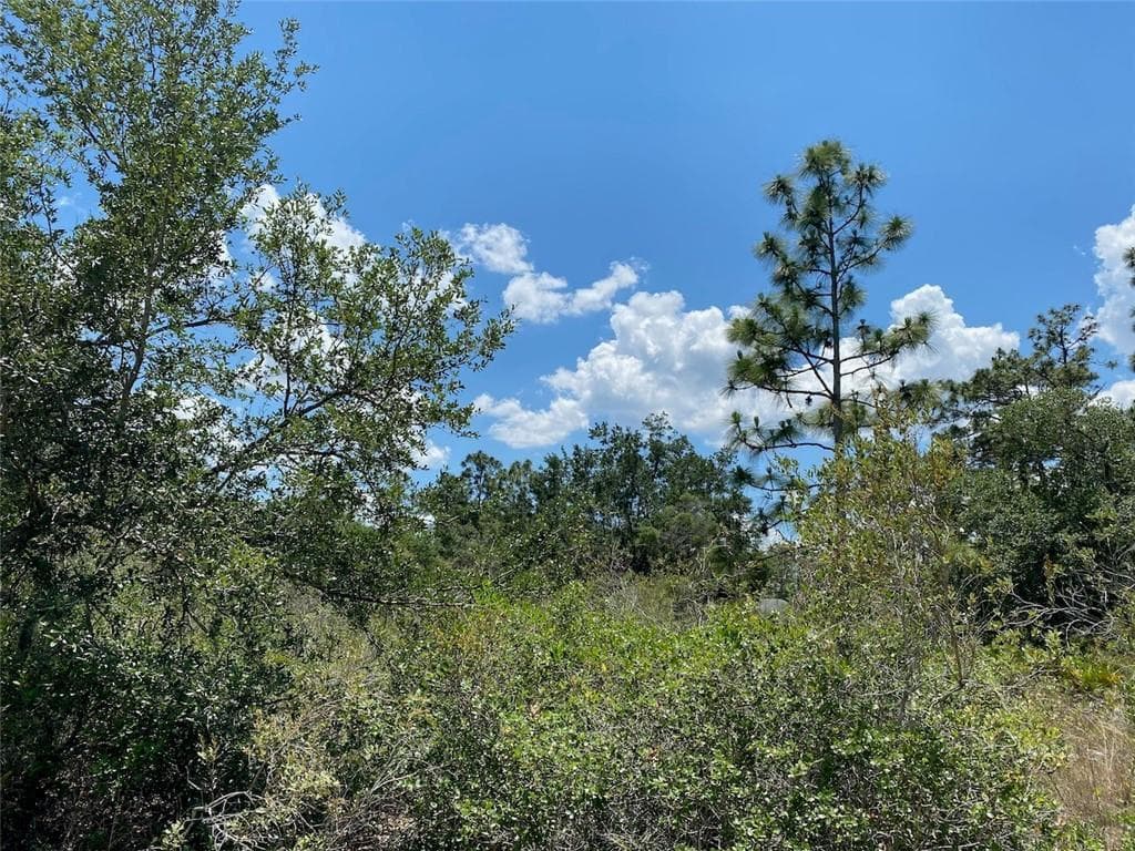 Lot 24 Indian Lake Drive, FL 33855
