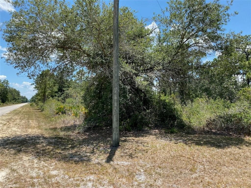 Power Pole on Lot