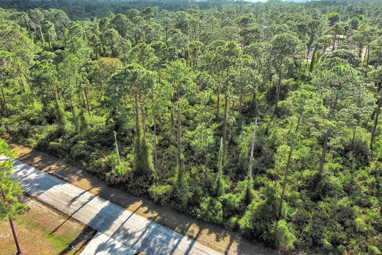 2019 COLUMBUS AVE, Lehigh Acres FL 33920
