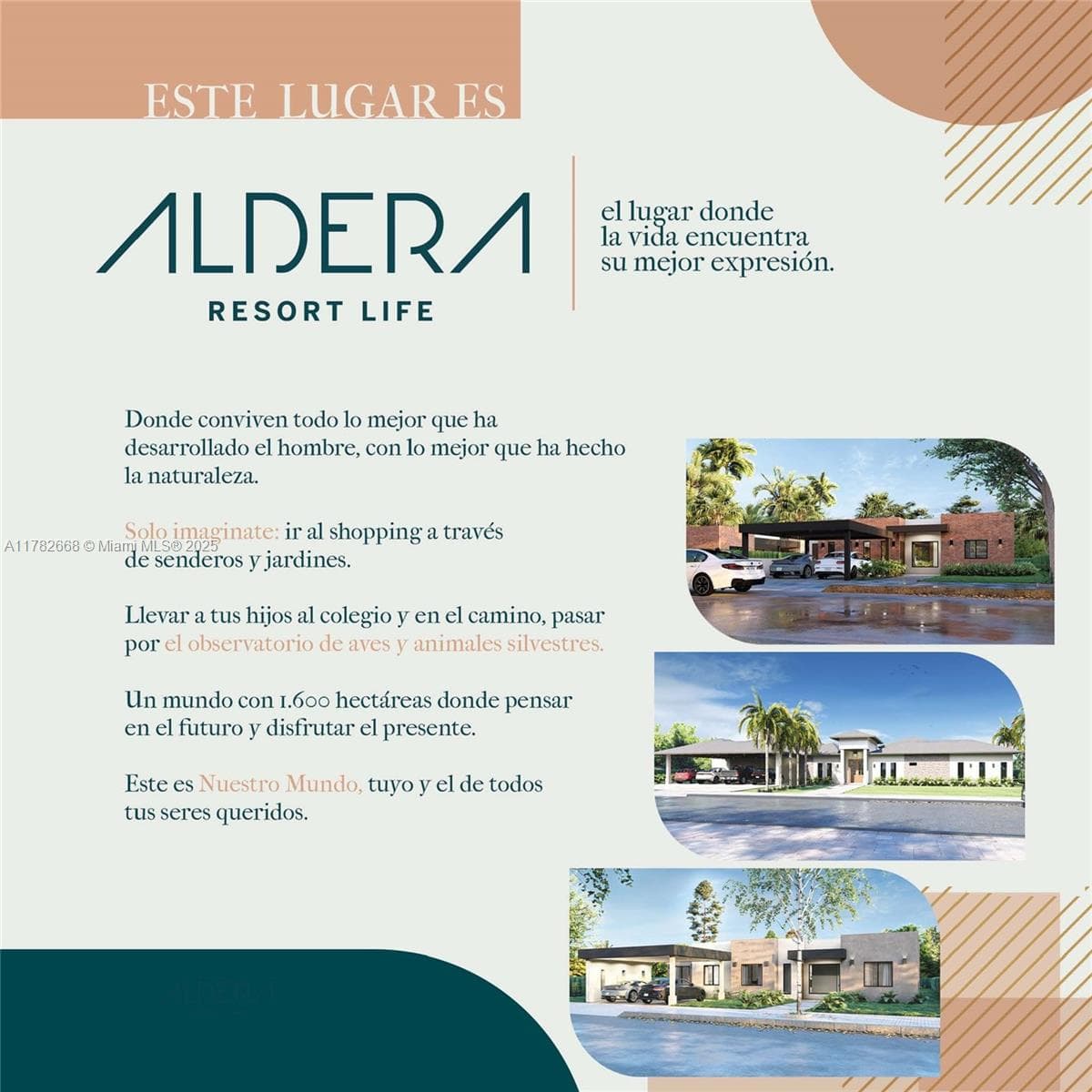 0 Ruta Luque–San Bernardino, fl