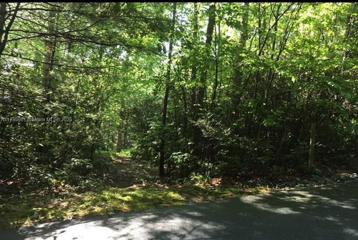Lot 66 Juniper Court, NC 28774