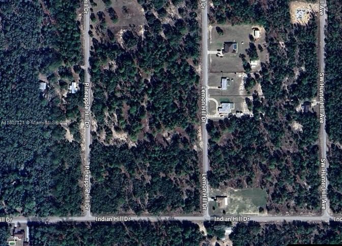 0 SW LEMON HILL DR, Other City - In The State Of Florida FL 34431