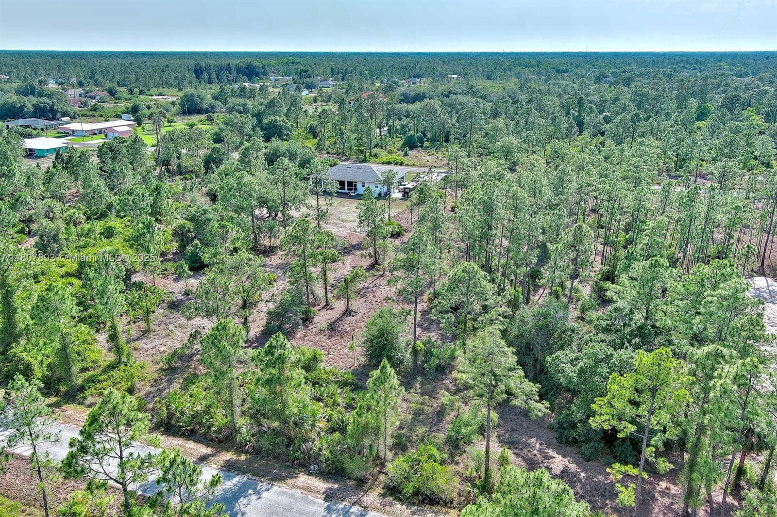 317 Fitch Ave, Lehigh Acres FL 33936