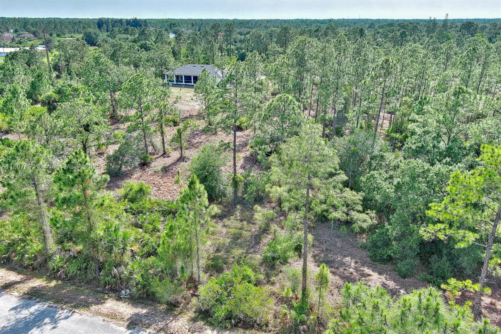 317 Fitch Ave, Lehigh Acres FL 33936