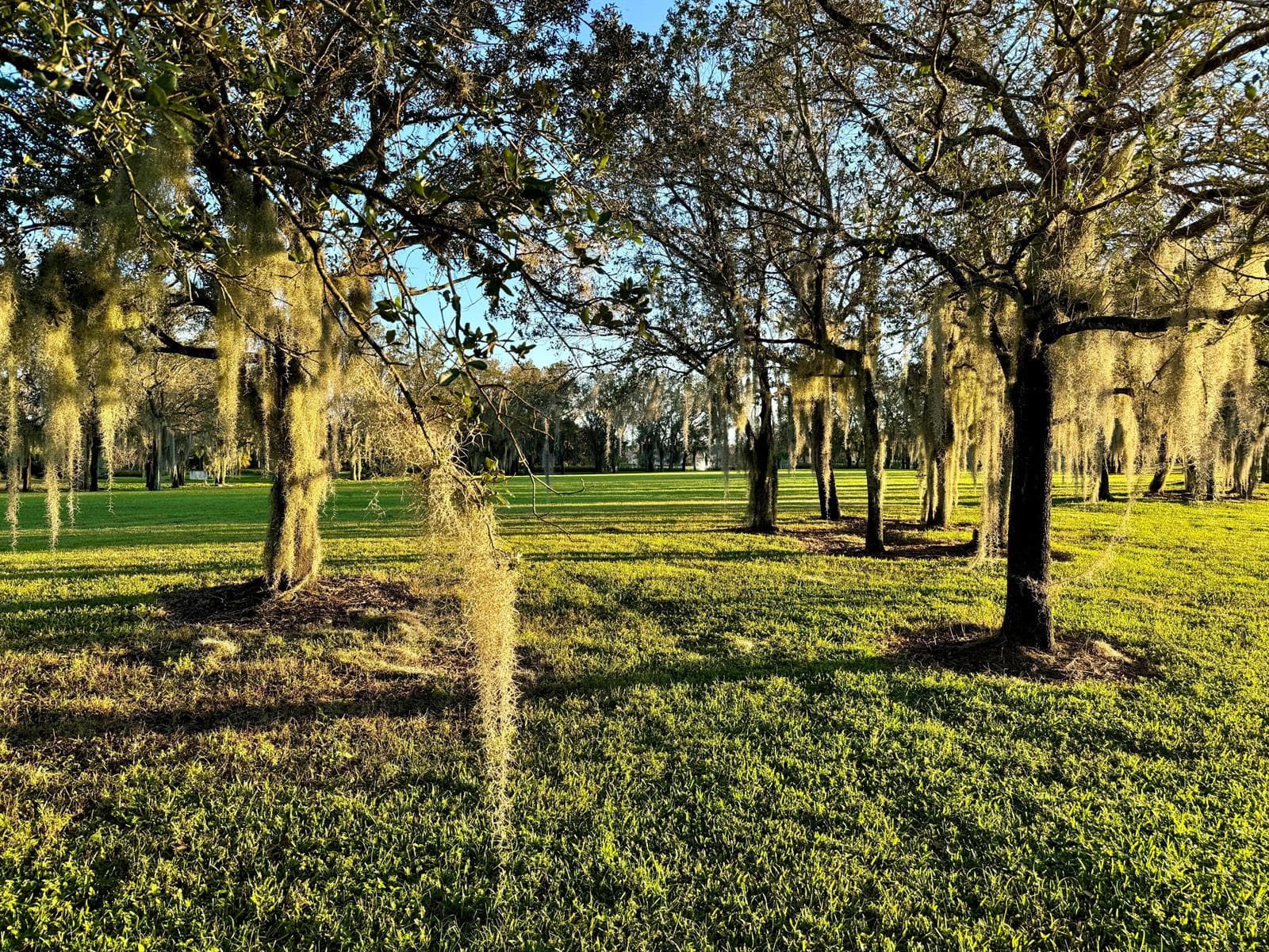 Park Sunset in Moss 2