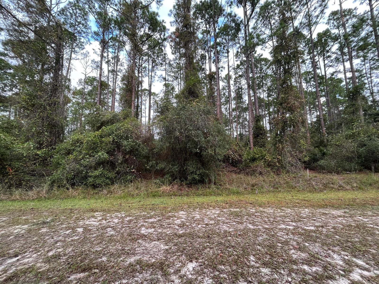 108 SE 5th Street, FL 32139
