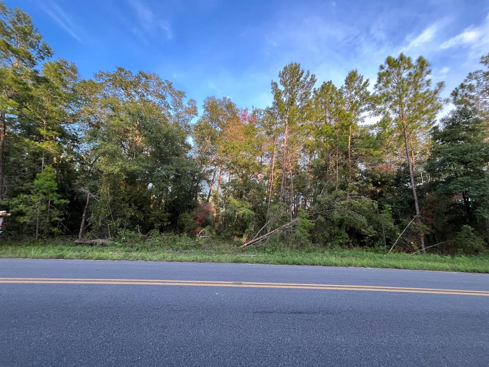 Tbd Twin Lakes Road, FL 32148
