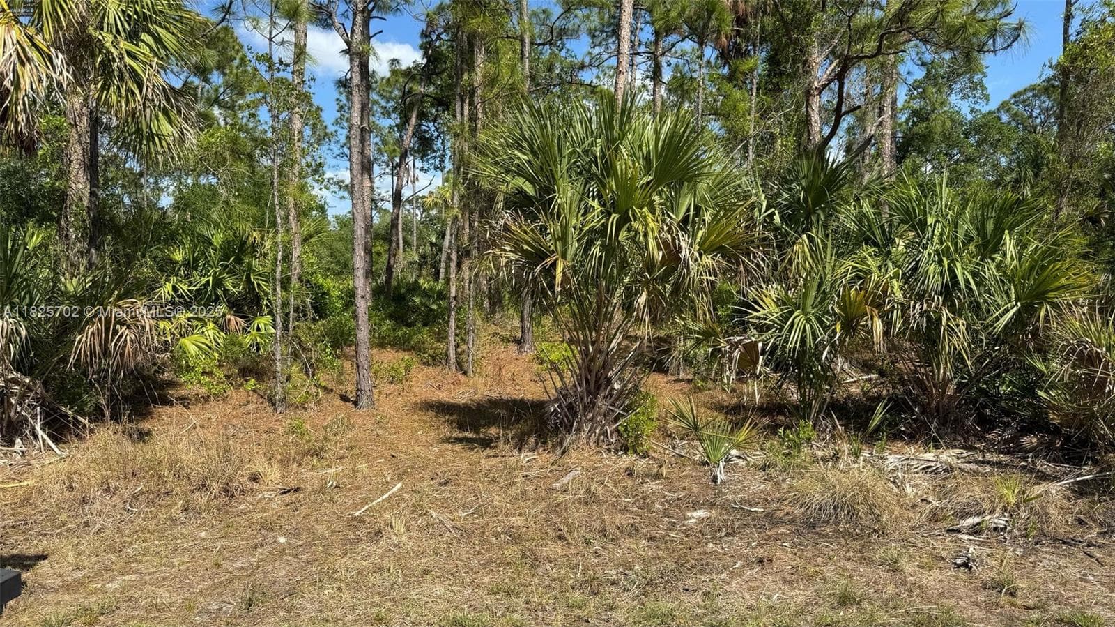 272 ELLINGTON ST, Port Charlotte FL 33953