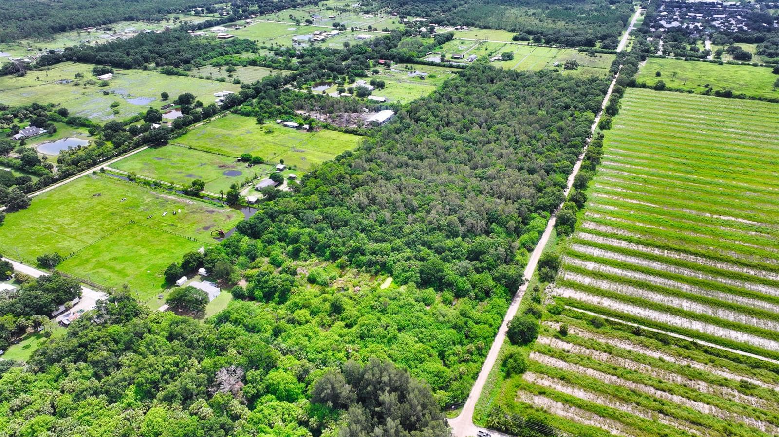 13420 101st Street, Fellsmere FL 32948
