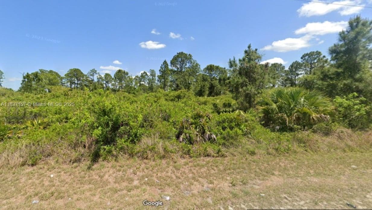 355 Long Ave, Lehigh Acres FL 33974