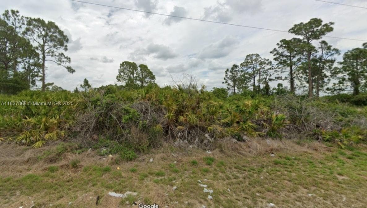 1247 Antonio Street E, Lehigh Acres FL 33974