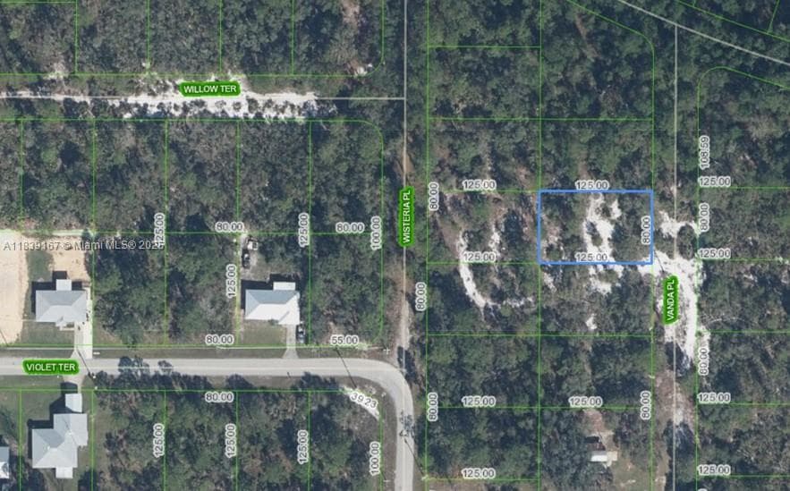 6809 VANDA PL, Sebring FL 33875