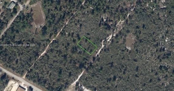120 EVERSOLE AVE, Lake Placid FL 33862
