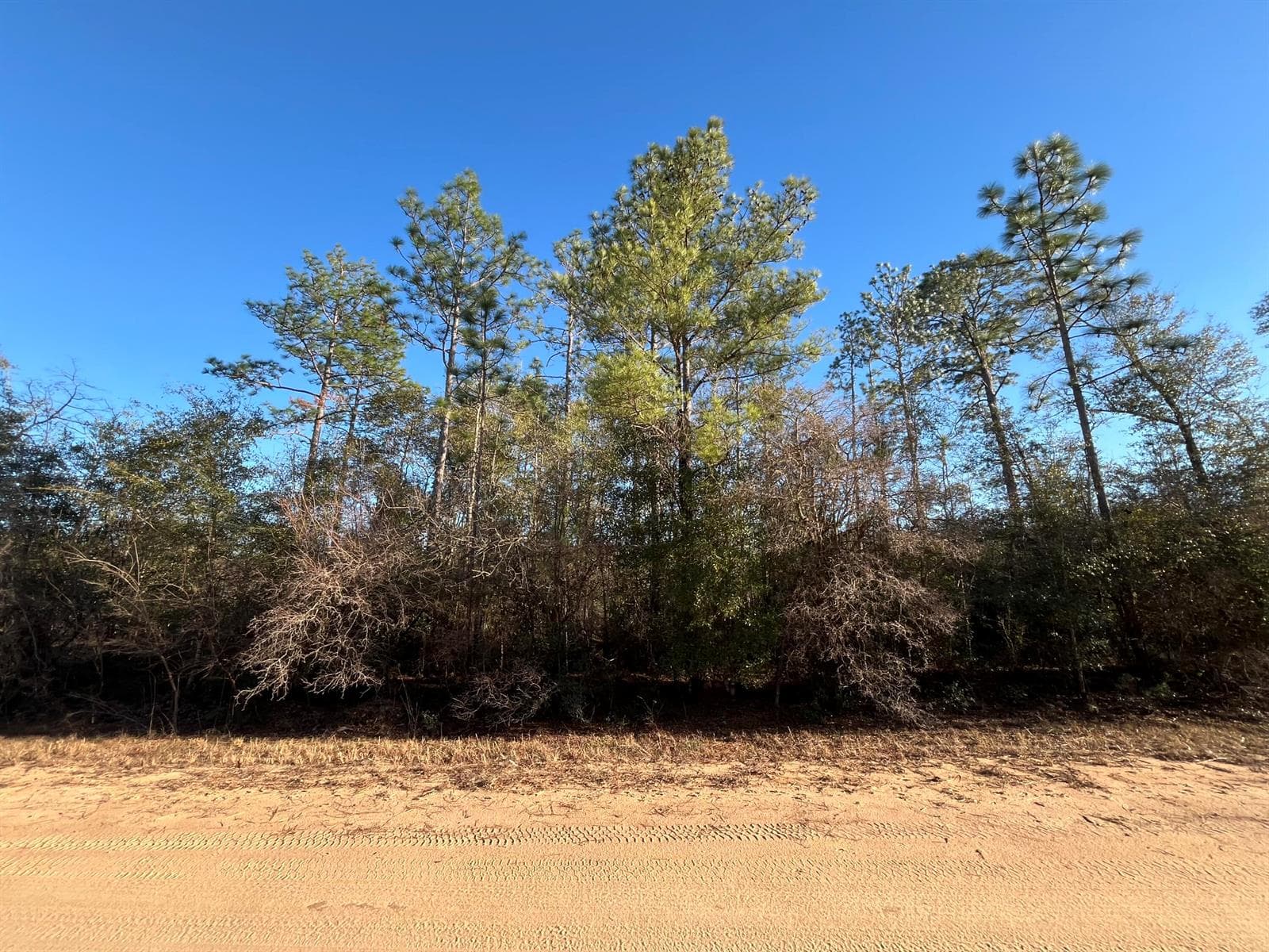 Tbd Goreville, FL 32420
