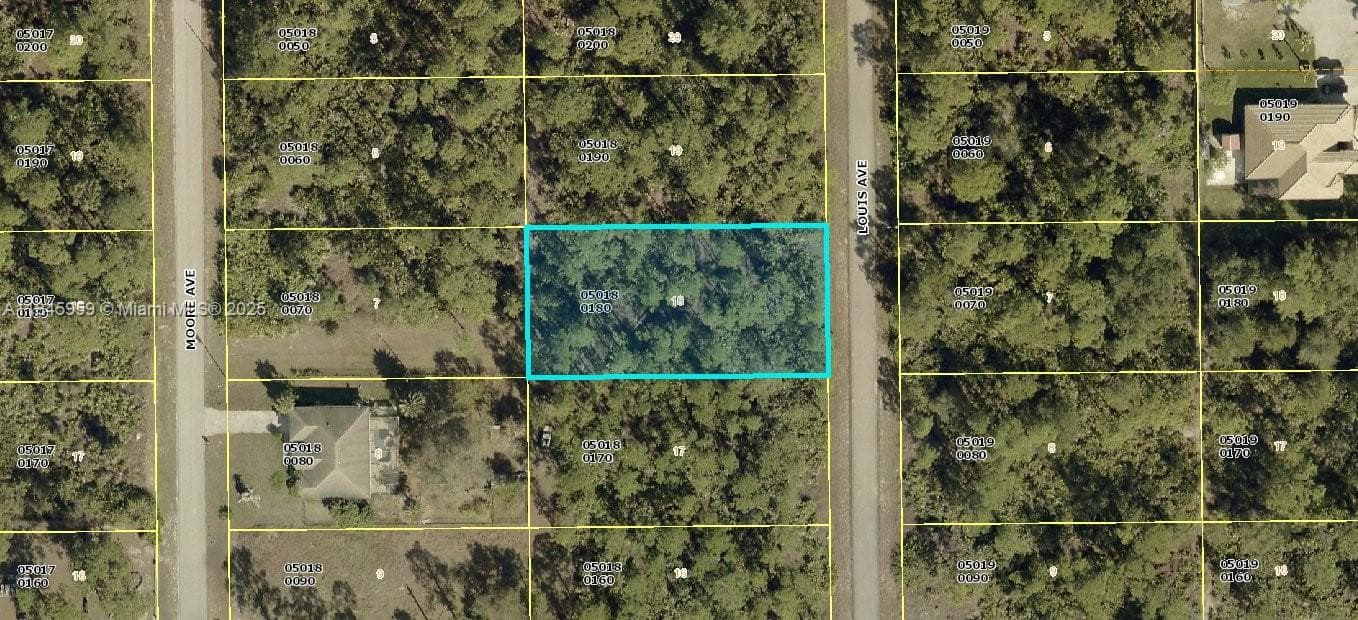 1311 louis, Lehigh Acres FL 33972