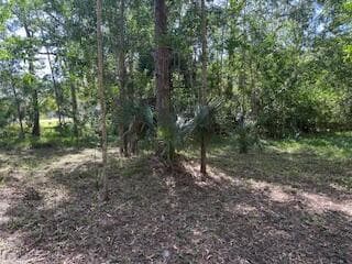 IMG_0660 (1)