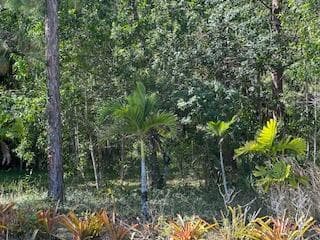 IMG_0654 (1)