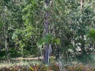 IMG_0653 (1)