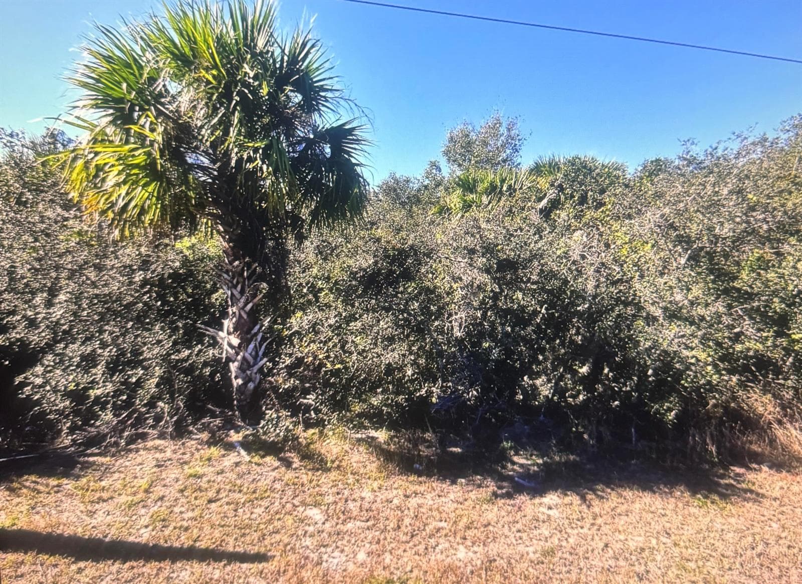 0 Old Dixie N Highway, Fort Pierce FL 34946