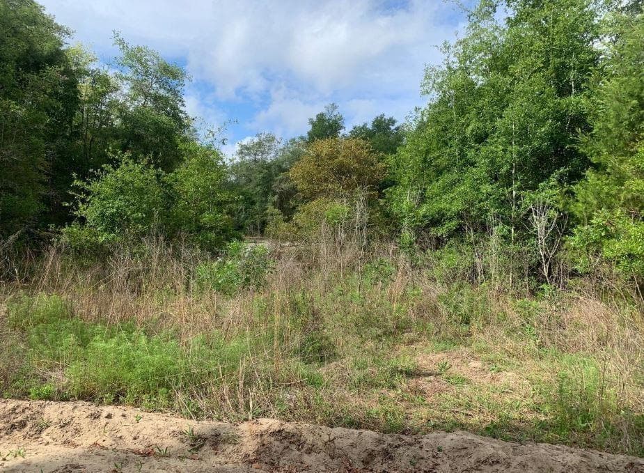 0 Douglas Drive, FL 32148