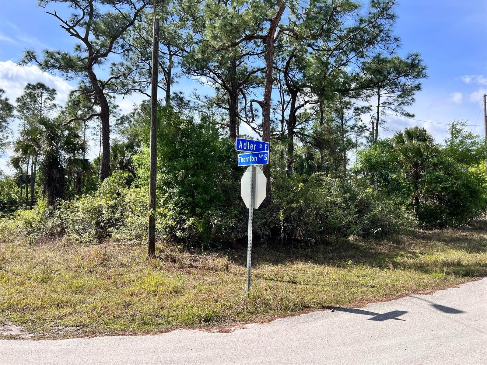 860 Adler Street E, Lehigh Acres FL 33974