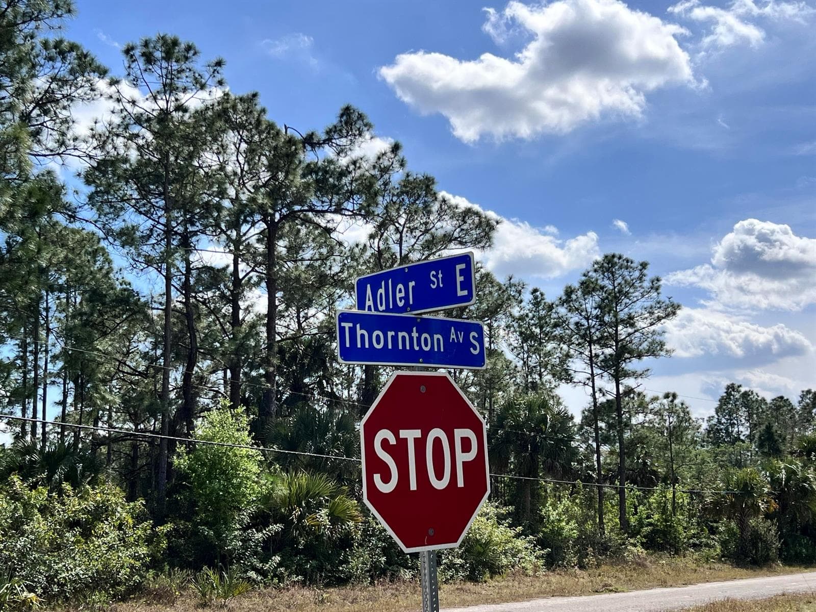 860 Adler Street E, Lehigh Acres FL 33974