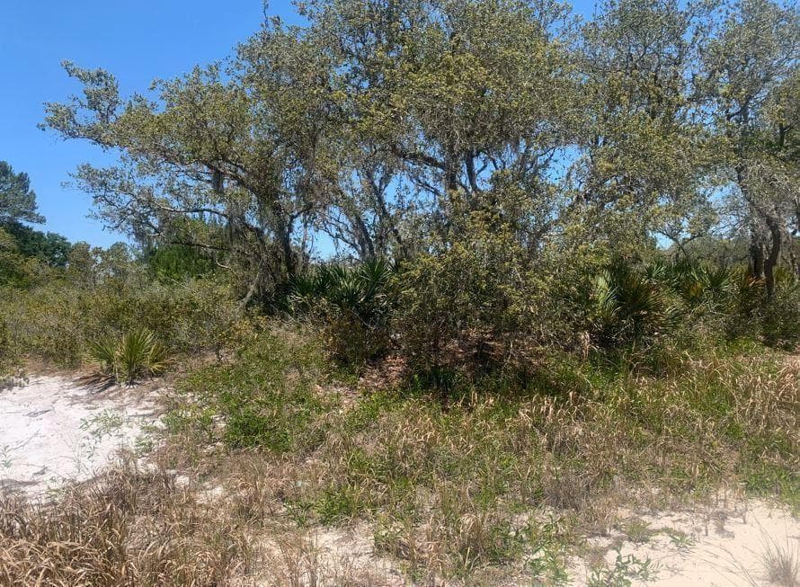 2924 W Quincy Road, FL 33825