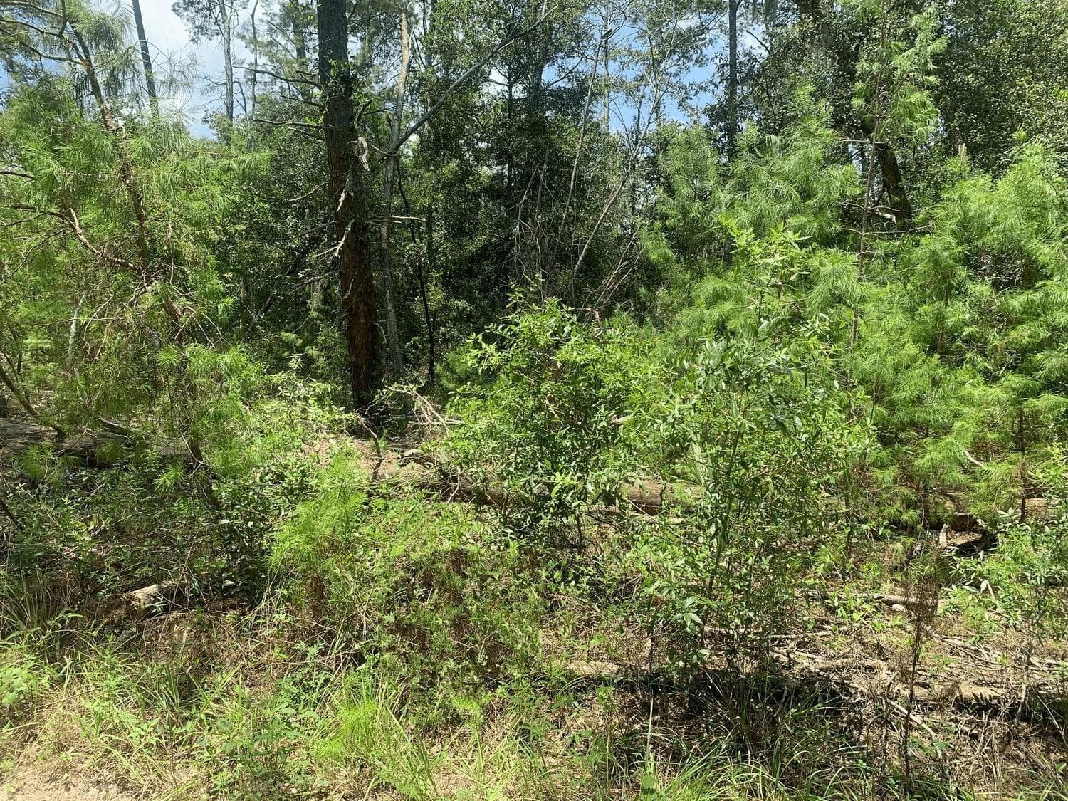 111 New York Avenue, FL 32148