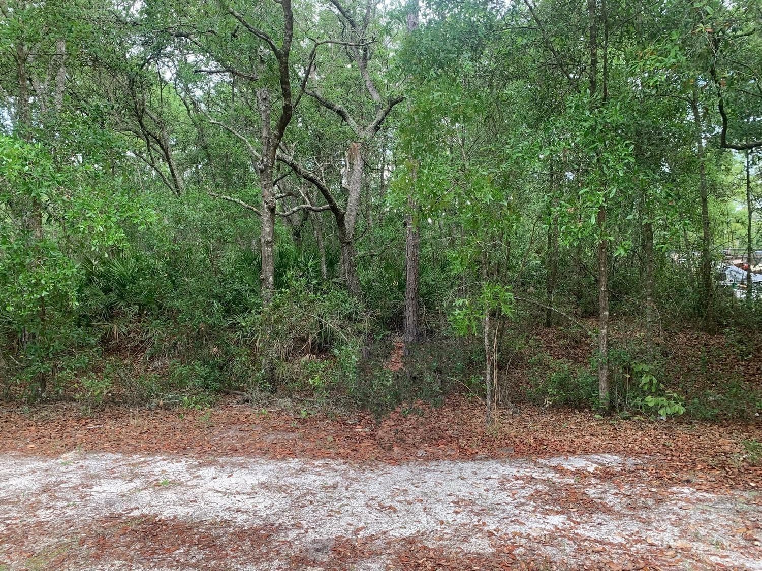 209 Highline Trail, FL 32189