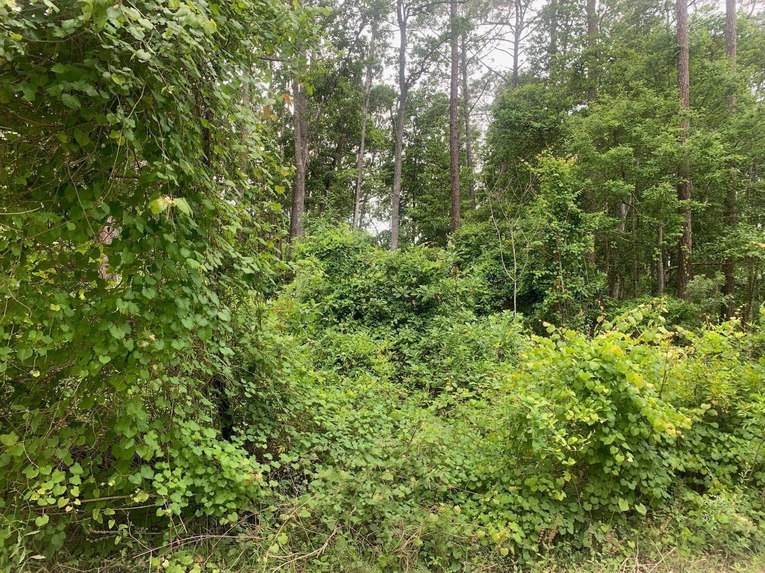 123 Coot Road, FL 32189