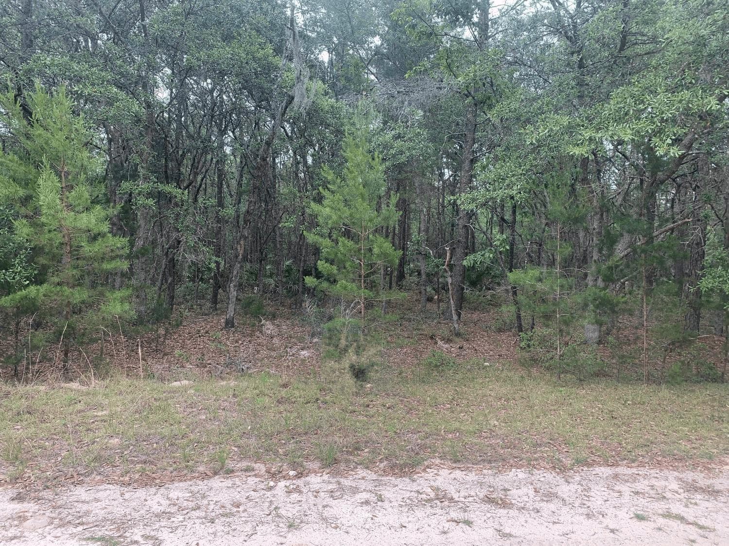 0 Huron, FL 32148