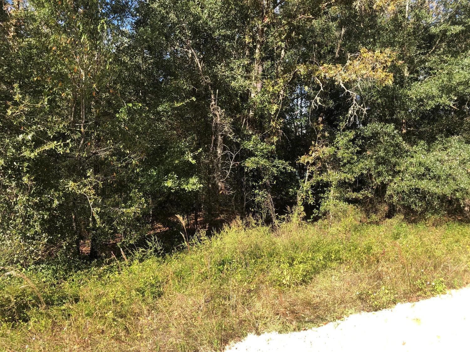 0 Evans Avenue, FL 32148