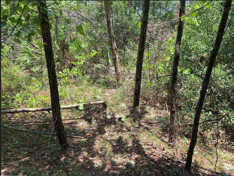 213 Kansas Street, FL 32189