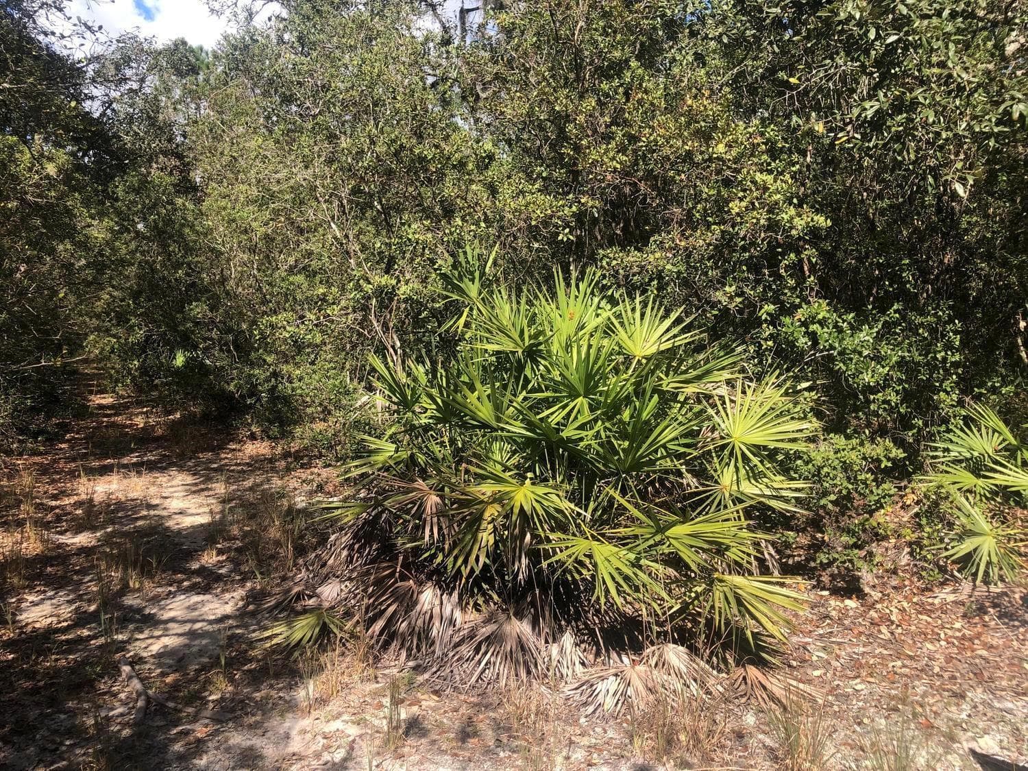 0 Oregon Street, FL 32148