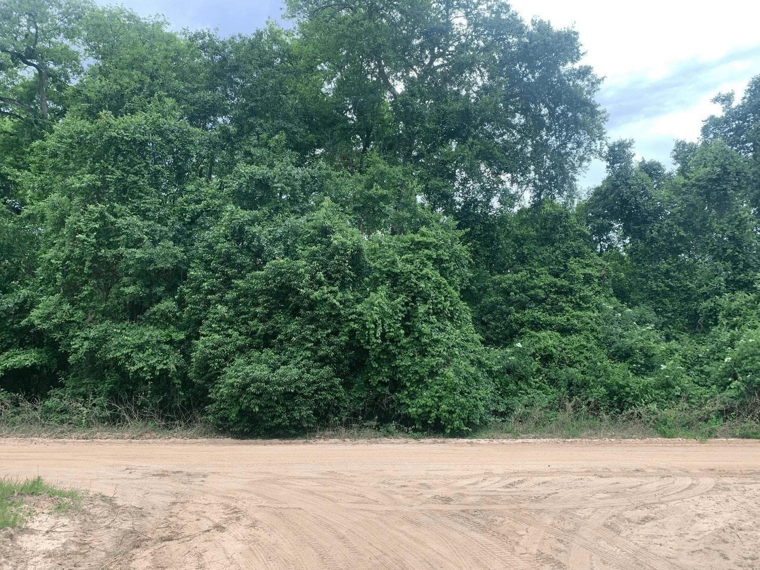 0 Ida Boulevard, FL 32148