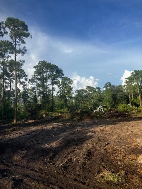 2018 Canton Avenue, FL 33920