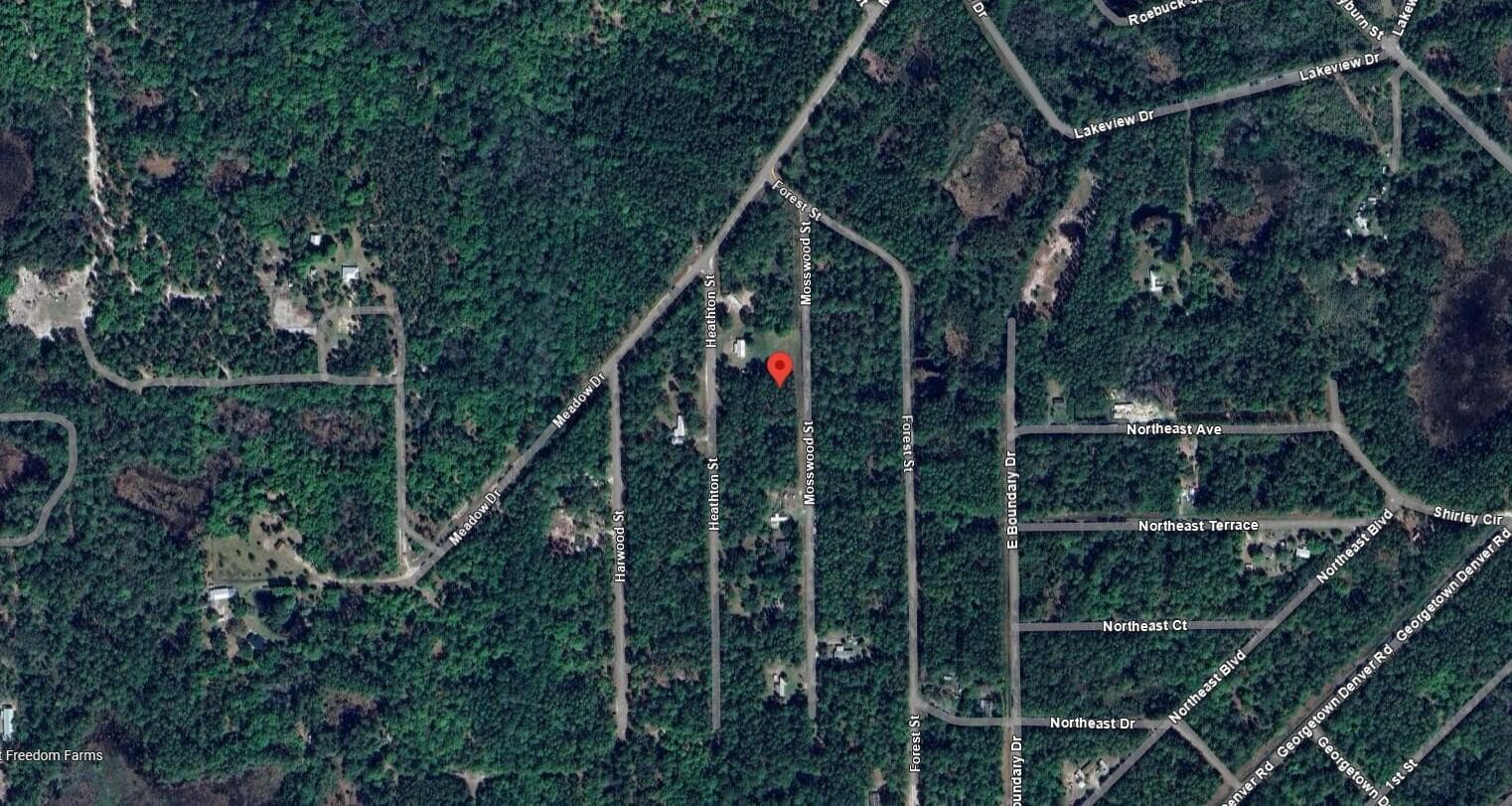 MOSSWOOD