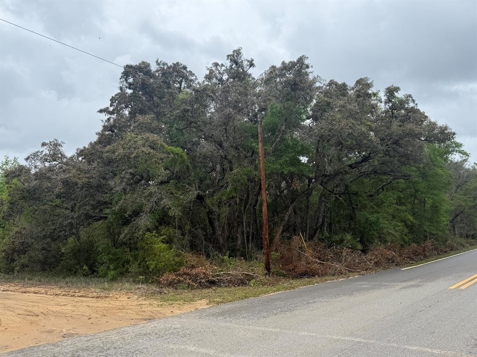 Tbd Theresa Avenue, FL 32148