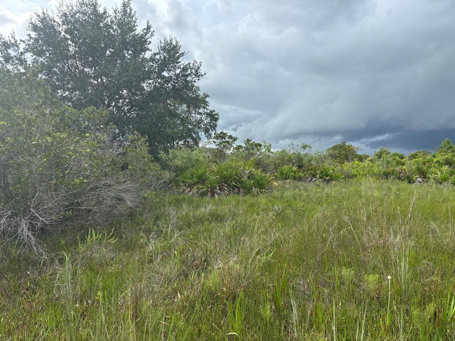 0 NW 312th Street, Okeechobee FL 34972