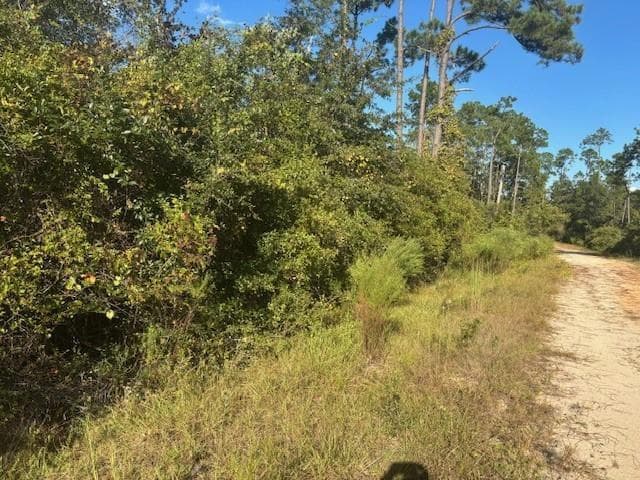 0 Mulberry Drive, FL 32448