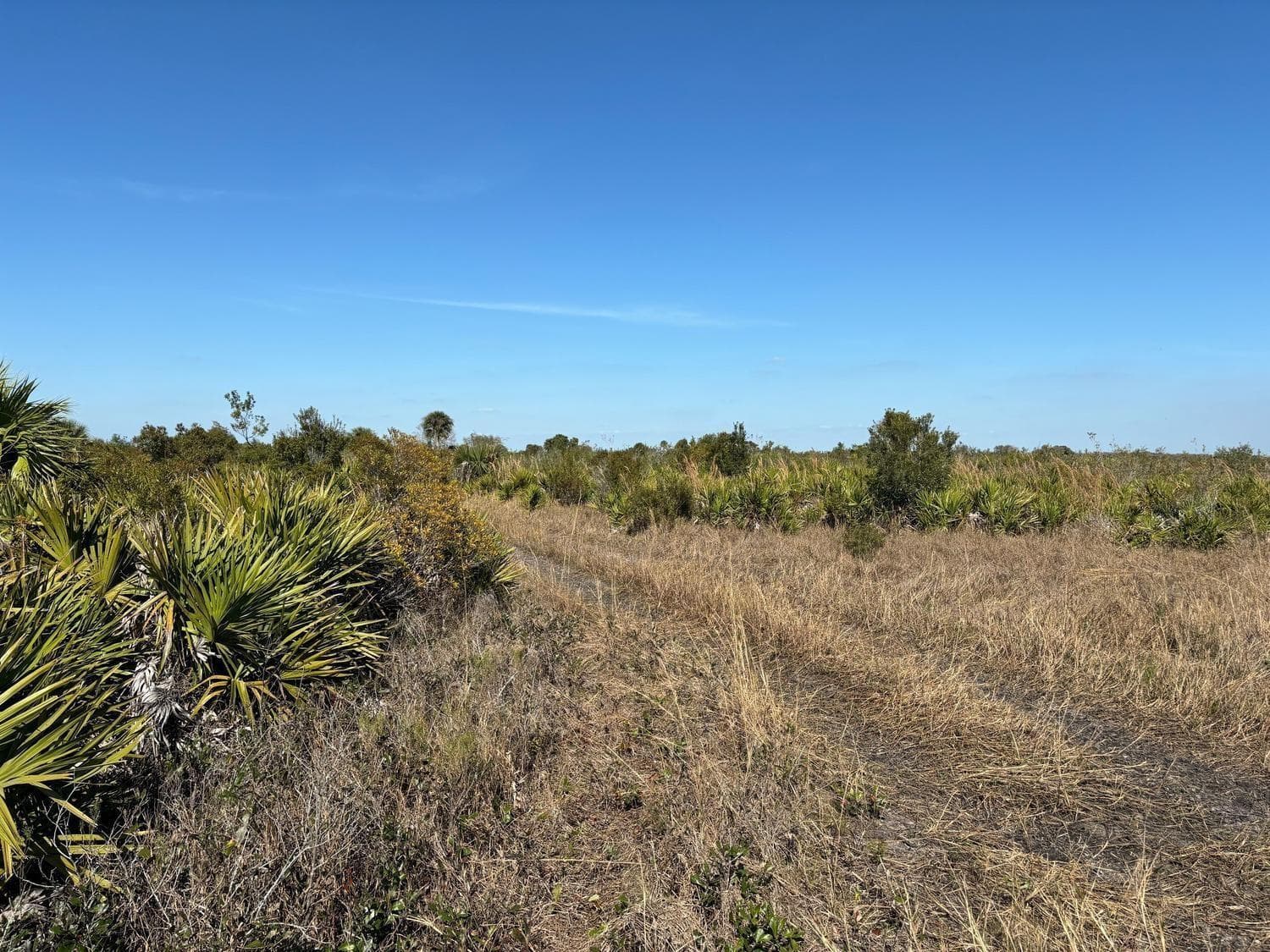 0 NW 316th Street, Okeechobee FL 34972