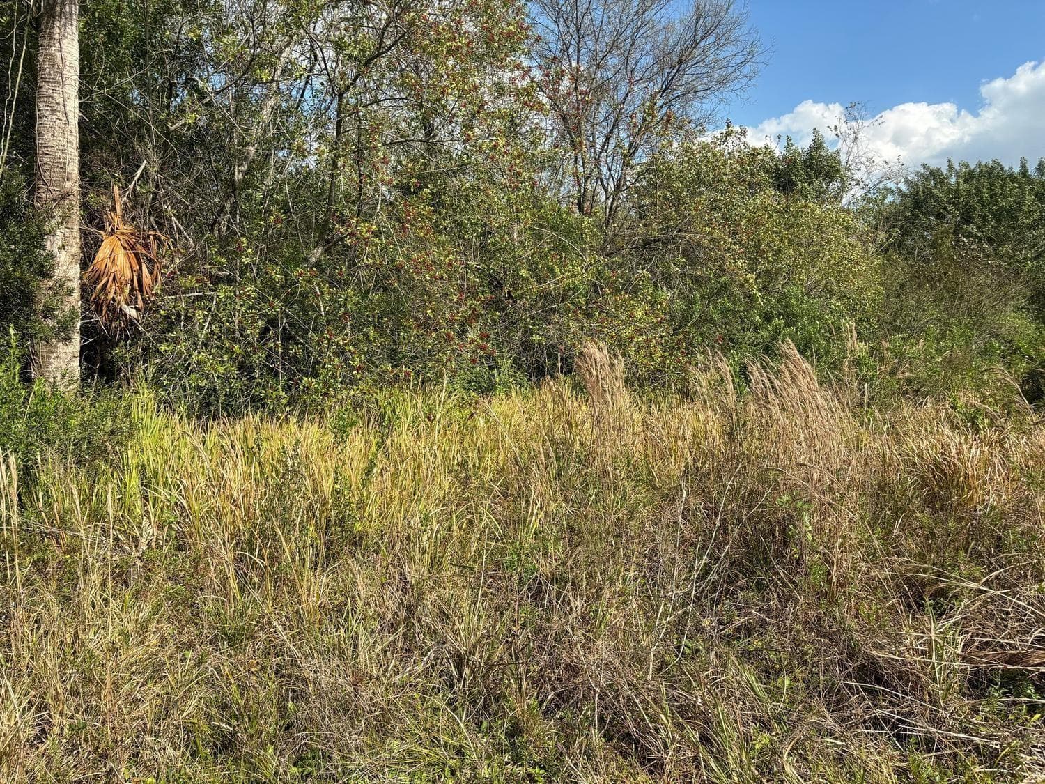 3584 US Highway 98, Okeechobee FL 34972