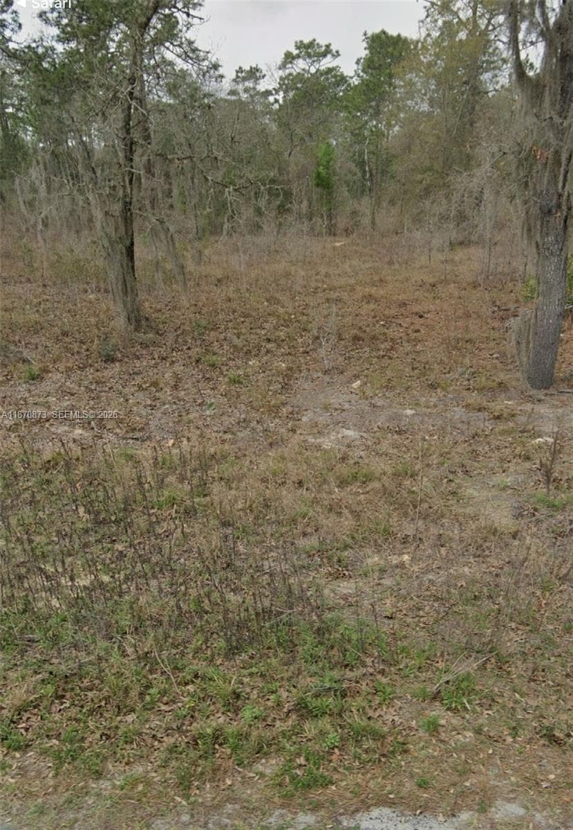 UNDETERMINED SW 130th Ave, Other City - In The State Of Florida FL 34432