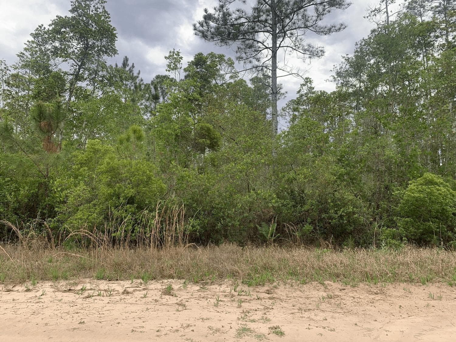 0 W Basford Street, FL 32148