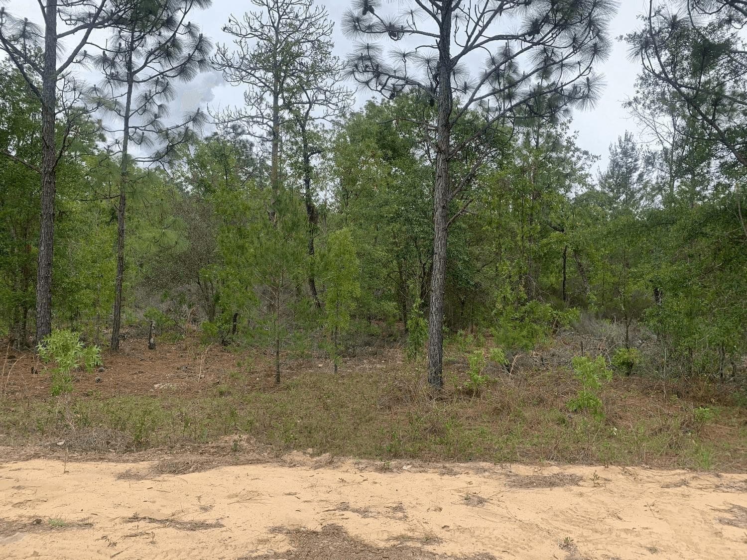 0 May Lane, FL 32148