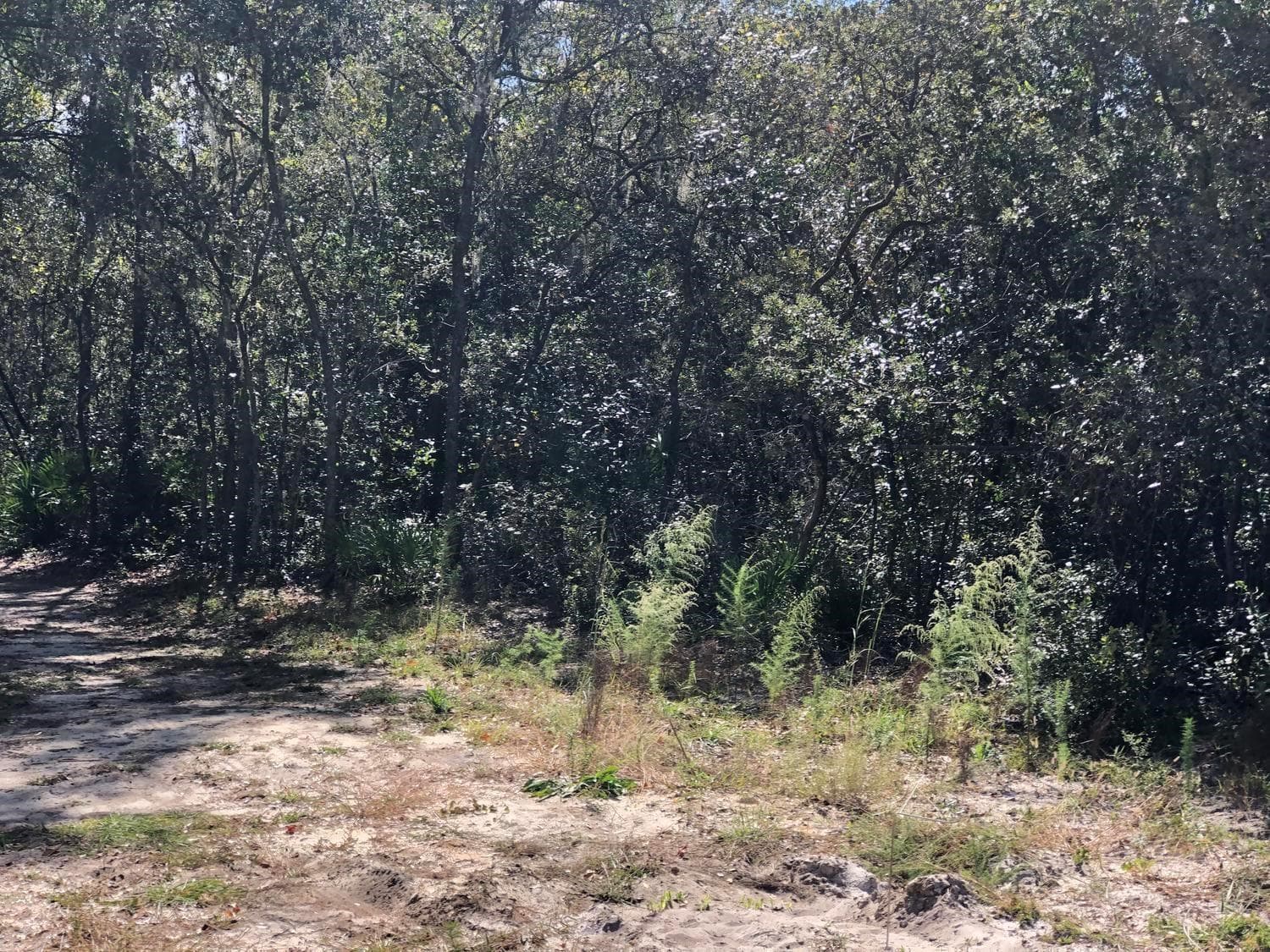 0 Maine Avenue, FL 32148