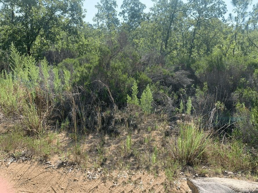 214 Marion Trail, FL 32148