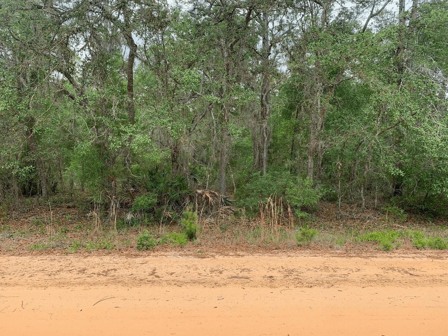 0 David Avenue, FL 32148