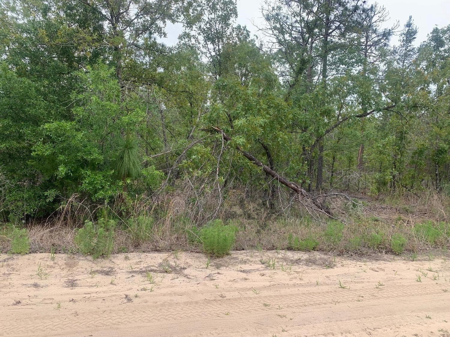 0 May Lane, FL 32148