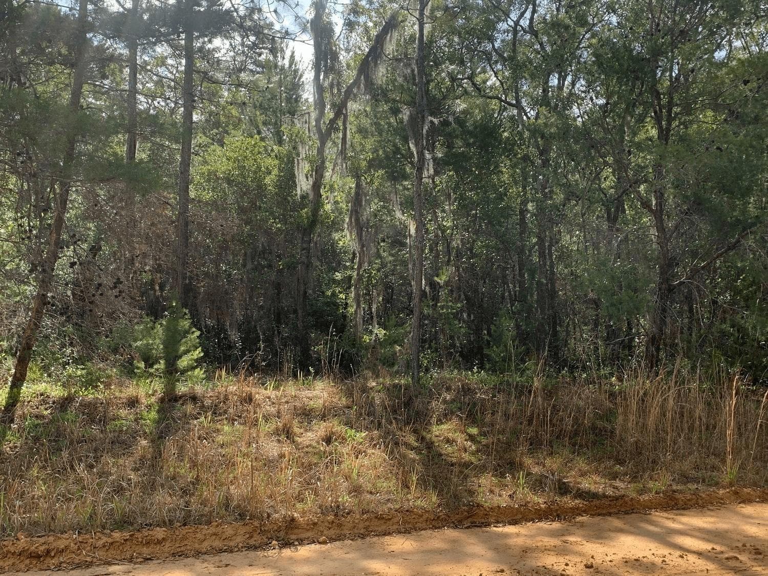 0 Shappell Avenue, FL 32148